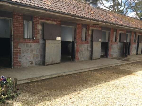 Horse stable cleaning — photograph from JettaClean